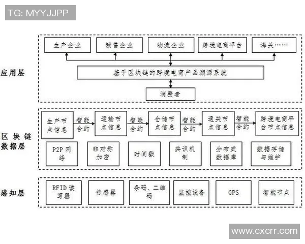 区块链技术的应用前景：打造透明可信的供应链管理体系