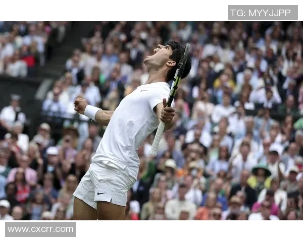 米林科维奇宣布因伤退出温网：大满贯征程缘何多舛